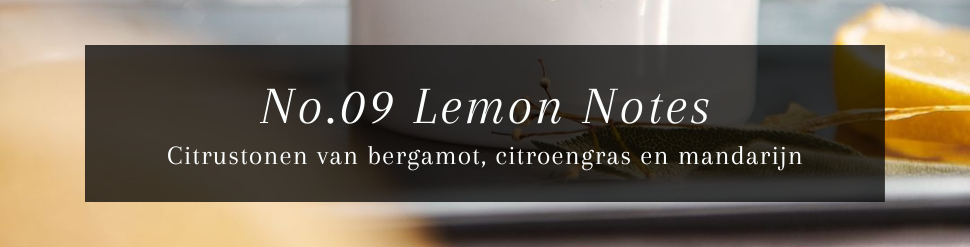 Marie-Stella-Maris No.09 Lemon Notes