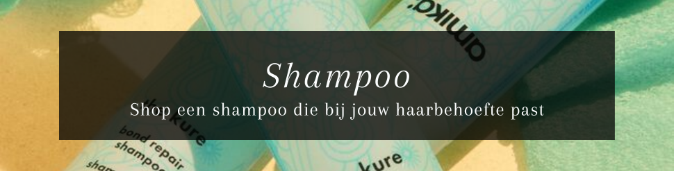 Shampoo