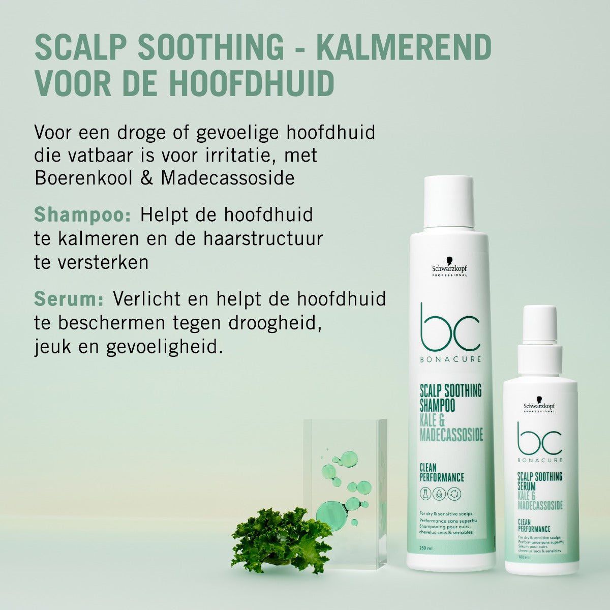 Schwarzkopf Bonacure Scalp Soothing Shampoo