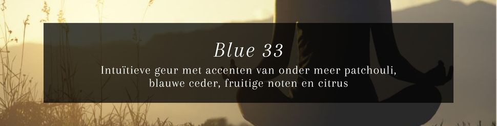 JANZEN Blue 33