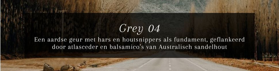 JANZEN Grey 04 