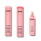 amika shine boost kit