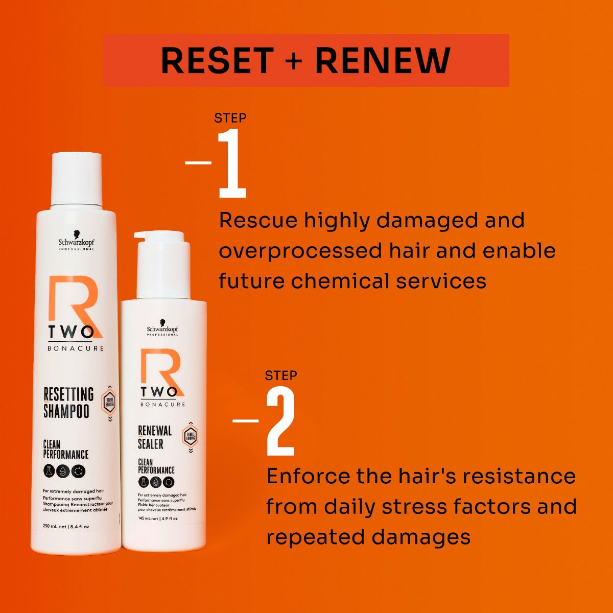 Schwarzkopf R-TWO Resetting Shampoo